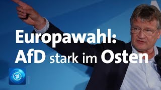 AfD in Brandenburg und Sachsen stärkste Kraft bei Europawahl [upl. by Akcired]