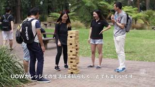 大学付属カレッジの良い所 〜ウーロンゴン大学UOW編〜 [upl. by Ambur]