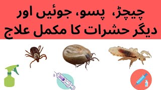 Ectoparasites  Ticks  Mites  Lice infestation  Flies Mosquitoes treatment  Dr Muhammad Saif [upl. by Mattah]