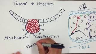 Macromolecular Crowding in Cells [upl. by Therron]