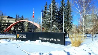 UCalgary Campus Tour  University of Calgary UofC  My Winter Experience [upl. by Rubi]