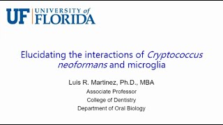 Elucidating the Interactions of Cryptococcus Neoformans and Microglia [upl. by Anuhsal]