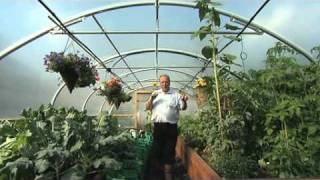 Automatic Irrigation inside a Polytunnel  V64 [upl. by Akeenat]