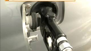 Petrol amp Diesel Price Reduced New Year Gift from Government [upl. by Karilla]