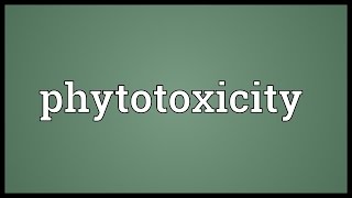 Phytotoxicity Meaning [upl. by Attennaej789]