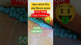 আর কোনোদিনও গাছ কিনতে হবেনা seedscollectseedsvegetablegardenfreegrowbaggardeninggardenupdiy [upl. by Dnama112]