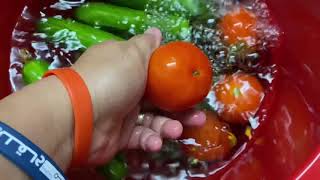 HEALTHY FRUITS AND VEGETABLES OZONIZED WITH OZONIZER 2C [upl. by Vanny]