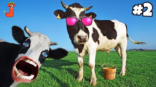 FUNNY COW DANCE FOR GANGAM STYLE 2  Cow Song amp Cow Videos 2024  Funny Cow dance  gaiya  gai [upl. by Rubi]