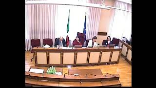 Audizioni Pinelli Golfo Iannini  Comm Femminicidio  20 maggio 2024 [upl. by Ellekcim719]