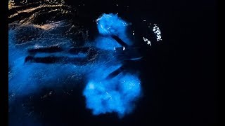 Swimming in a GLOWING OCEAN  Incredible Bioluminescence [upl. by Cathi]