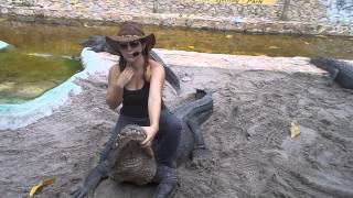 ❤ Alligator Wrestling Must watch by Young Girl at Everglades Alligator Show [upl. by Theressa]