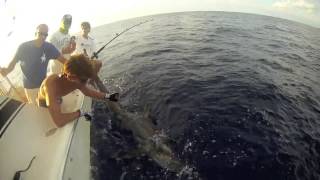 Big Eye Thresher Shark Daytime Swordfishing Miami [upl. by Javed918]