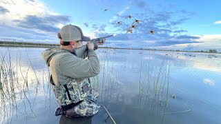 This Slough was Loaded with Ducks Duck Hunting [upl. by Bonnibelle]