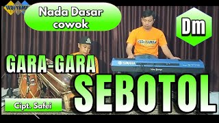 Sebotol Karaoke  CiptSafei sroop cowok Dm versi tanjidor [upl. by Blisse]