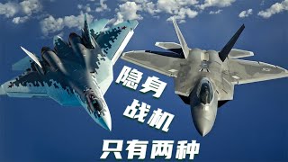 【俄方回憶錄】蘇57是“猛禽斯基”還是壓扁的“側衛”。續二十一 [upl. by Finnie861]