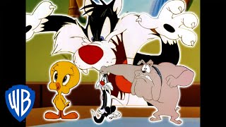 Looney Tunes  Catching Tweety  Classic Cartoon Compilation  WB Kids [upl. by Jahncke]