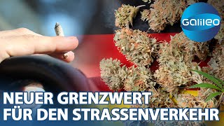 CannabisLegalisierung Die Herausforderung eines neuen Grenzwertes [upl. by Anitnemelc]