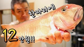 생선육질이 남다른 고급중의 고급생선 오로시해서 먹어보자 How to Fillet Tilefish  Ｗhitefish Recipe [upl. by Aicilram102]