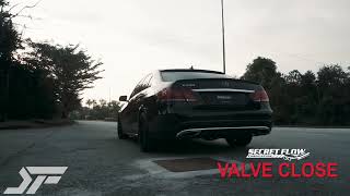 Mercedes E250 W212 Secretflow Exhaust Sound [upl. by Harshman561]