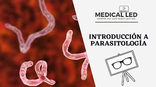 INTRODUCCIÓN A PARASITOLOGÍA Generalidades y clasificación [upl. by Endys]