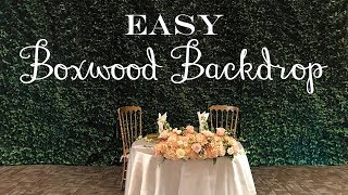 How To Setup a Boxwood Backdrop [upl. by Itra517]