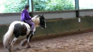 Cantering on my first lesson [upl. by Notgnirrac]