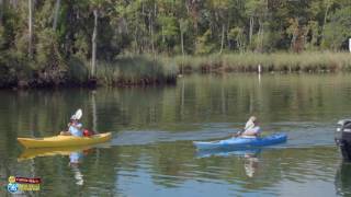 Captain Mikes Kayak Rentals [upl. by Akirahs]