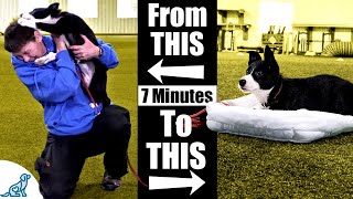 Teach Your Puppy To Calm Down With This 7 Minute Exercise [upl. by Hammer38]