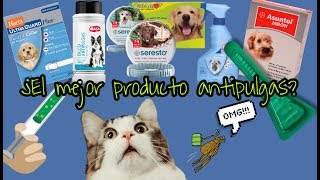 MEJOR PRODUCTO ANTIPULGAS [upl. by Sima]