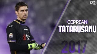 Ciprian Tatarusanu ● Best Saves 2017 HD  Welcome to FC Nantes [upl. by Nikolai]