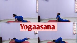 Yoga for Beginners The Best Asanas for Fitness [upl. by Iztim]