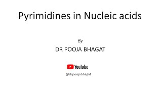 Pyrimidines in Nucleic Acids [upl. by Oiromed424]