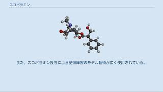 スコポラミン [upl. by Eisnil]