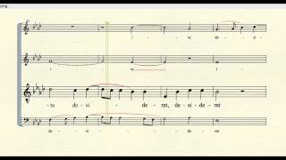 quotSicut Cervusquot by Palestrina tenor part [upl. by Oicnaneb826]