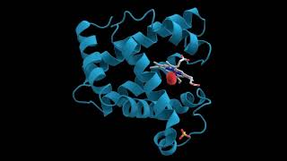 Insulina y Glucagon [upl. by Tirzah]