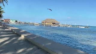 The Overwater Bars of Ambergris Caye Belize [upl. by Sissy742]