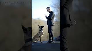 K9 dogs are so interesting 😱🐕k9 dog malinois k9protection dogsoftiktok [upl. by Aviv]