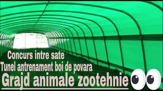 HANGAR cu PRELATAGRAJD pentru ANIMALEHALA de DEPOZITARE BALOTI de PAIE [upl. by Lloyd940]