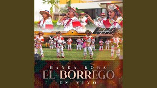 El Borrego En Vivo [upl. by Coral]