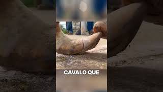 CAVALO DOMESTICO É DIFERENTE interessante curiosidade curiosidades [upl. by Rede967]