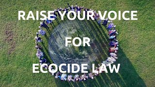 Raise Your Voice music video to support Ecocide Law [upl. by Elocin]