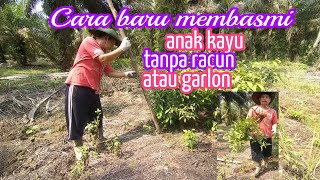 Membasmi anak kayu tanpa racun atau garlon [upl. by Andria]