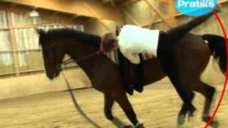 Equestrian Vaulting  How to do a vaulton at a canter [upl. by Aztirak516]