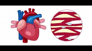 FUNCIONES ENDOCRINAS DEL ENDOTELIO VASCULARVENAS VS ARTERIAS🫀🩸 [upl. by Antonin]