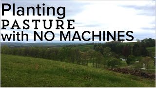 How to Seed a Pasture  Planting a Pasture from Scratch with NO MACHINES [upl. by Latsryk]