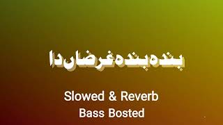 Banda Banda Gharzan Da Badshah Full Saraiki Song  Slow  Reverb  Bass Boster  Zohaib Editor [upl. by Newnorb]