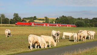 Nahverkehrszüge auf der Taunusstrecke [upl. by Andeee3]