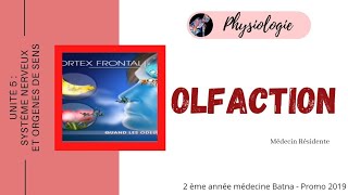 Olfaction Physiologie [upl. by Ydnas]