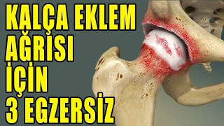 KALÇA AĞRISI İÇİN 3 GEVŞETME EGZERSİZİ aktifizyo fiziktedavi kalçaağrısı [upl. by Rehtse]