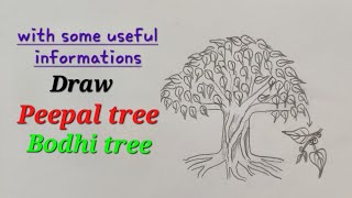 Peepal tree drawing easy Bodhi tree drawing draw Pipal treeDraw sacred fig Raavi chettu drawing [upl. by Aivatnahs635]